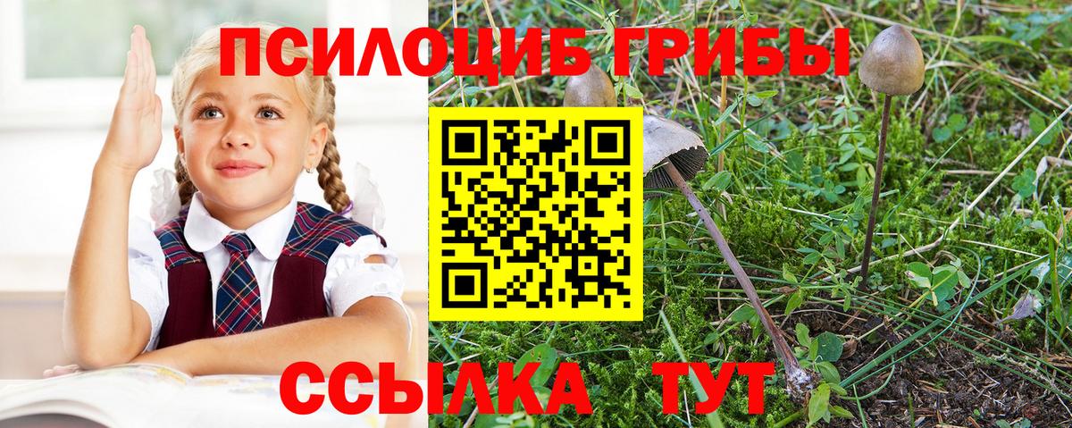 Псилоцибиновые грибы мицелий  Псилоцибиновые грибы мухоморы  Ейск  Вход с VPN 