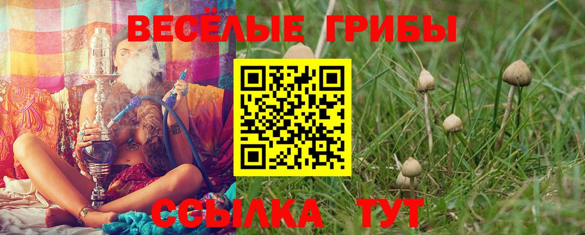 Псилоцибиновые грибы MAGIC MUSHROOMS Ейск
