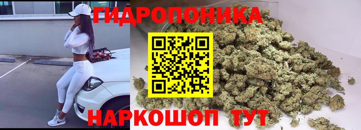 Ейск  Бошки Шишки VHQ  Каннабис SATIVA & INDICA  Вход с VPN 